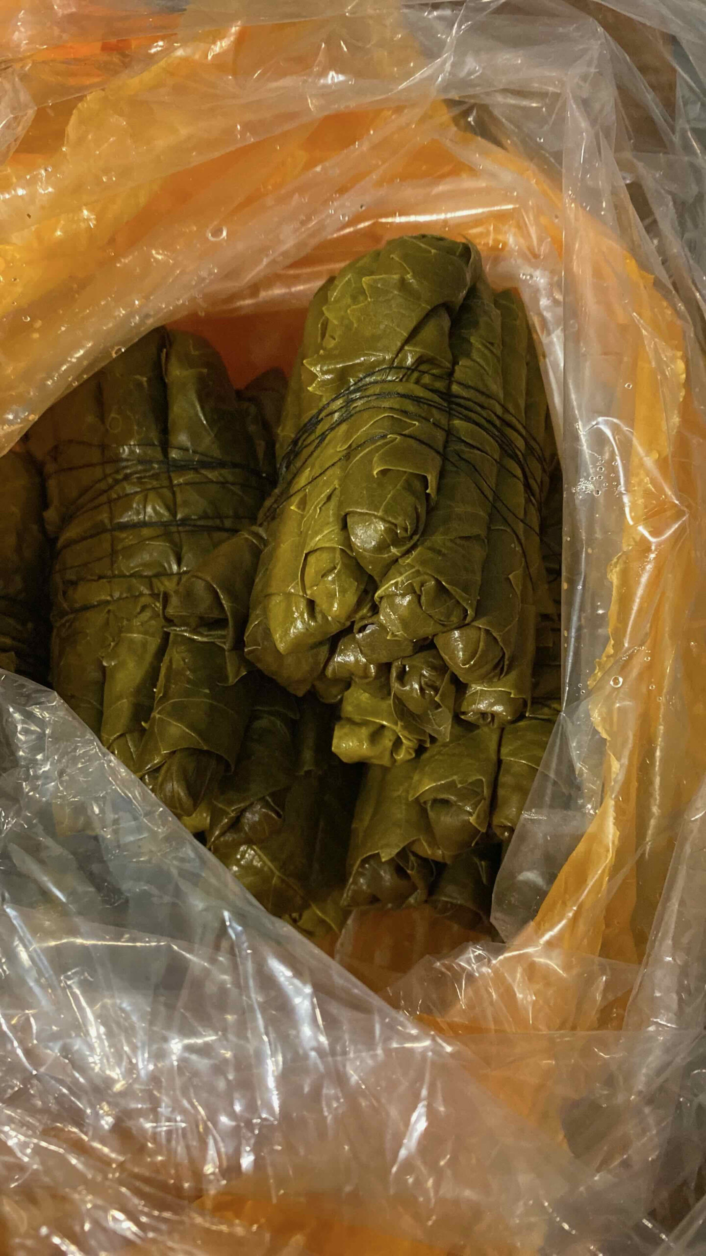 Grape Leaves and Frozen Kibbe